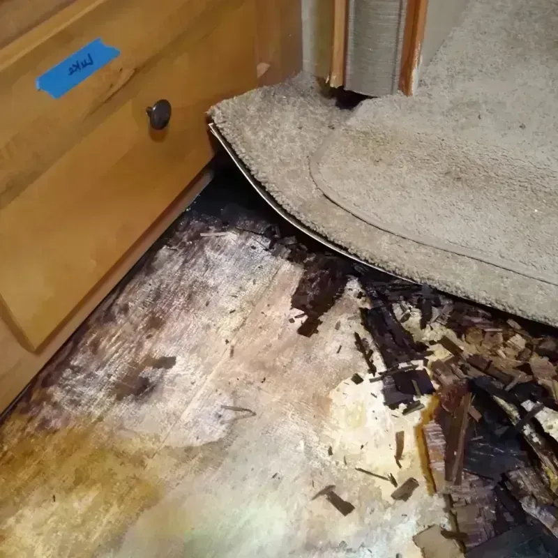 Best Wood Floor Water Damage Service in Oconto Falls, WI